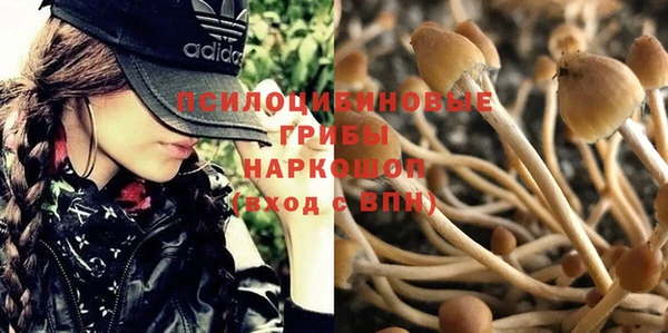 метадон Михайлов